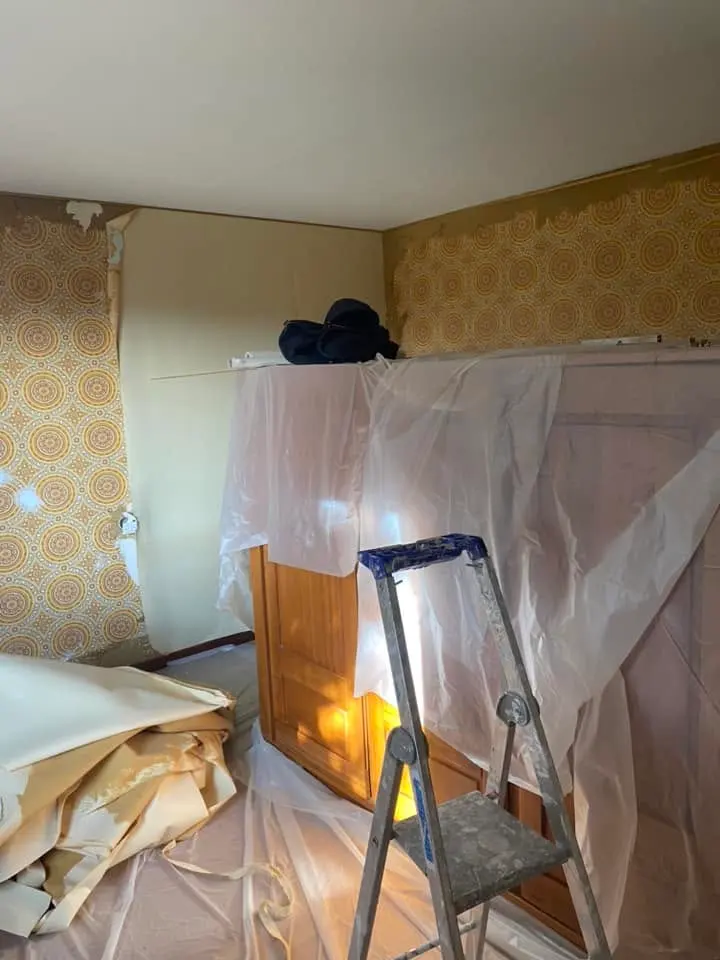 Peintre décorateur d'intérieur, Nancy